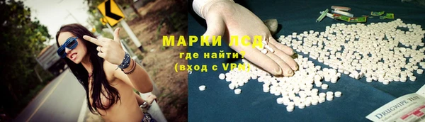 спиды Нефтекумск