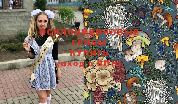 не бодяженный Нея