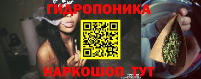 тгк Кандалакша