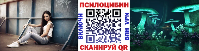 где купить наркотик  Кубинка  Галлюциногенные грибы Psilocybine cubensis 