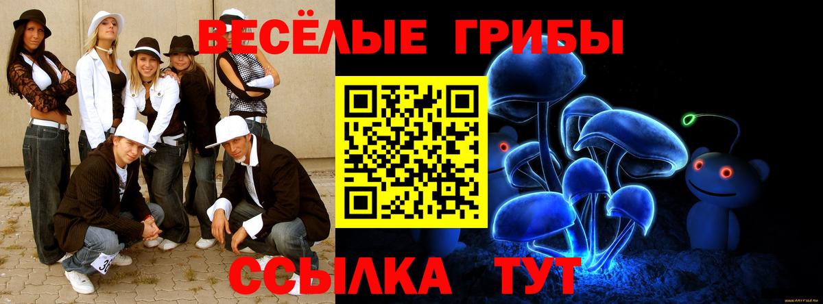 Псилоцибиновые грибы Magic Shrooms Кубинка