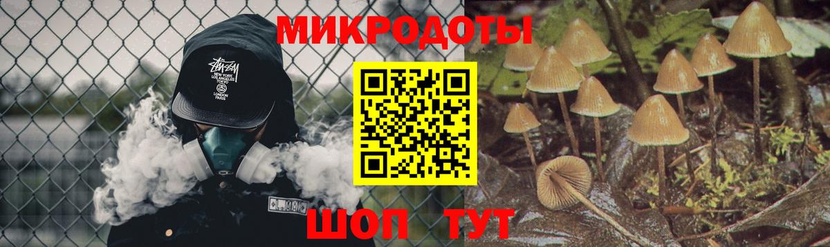 Галлюциногенные грибы Cubensis  закладки  Кубинка 