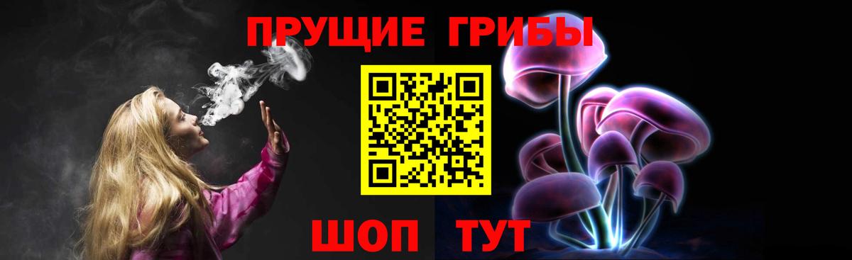 Псилоцибиновые грибы мицелий  Вход с VPN  Кубинка 